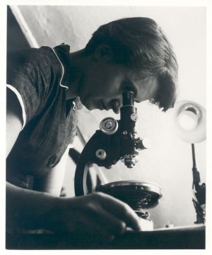 Rosalind Franklin and DNA: myths and facts