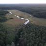 mokradła