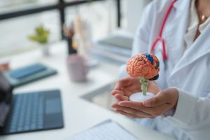  A doctor holds a model of the human brain in her hands inside a medical office; a laptop and documents are visible on the desk.