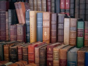 Młodsza Bibliotekarka / Młodszy Bibliotekarz