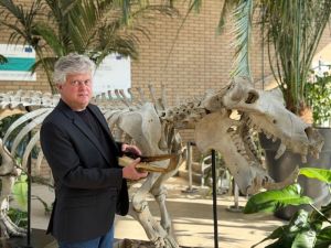  Dr. Szymon Konwerski stands inside the AMU Faculty of Biology next to a mounted hippo skeleton from the 1950s, holding a single bone. Green plants and educational displays are visible in the background.