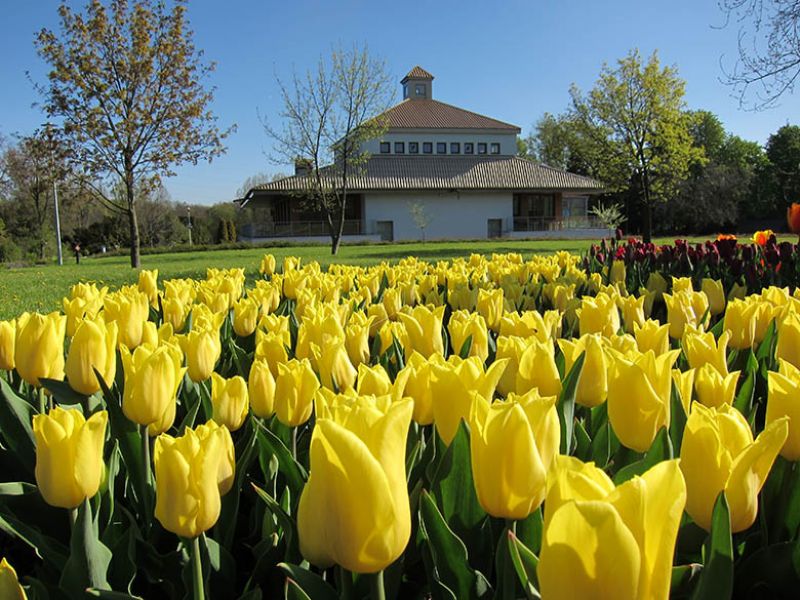 Pawilon w Ogrodzie Botanicznym UAM