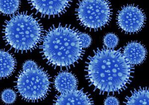 Koronawirus – przeciwdziałanie rozprzestrzenianiu