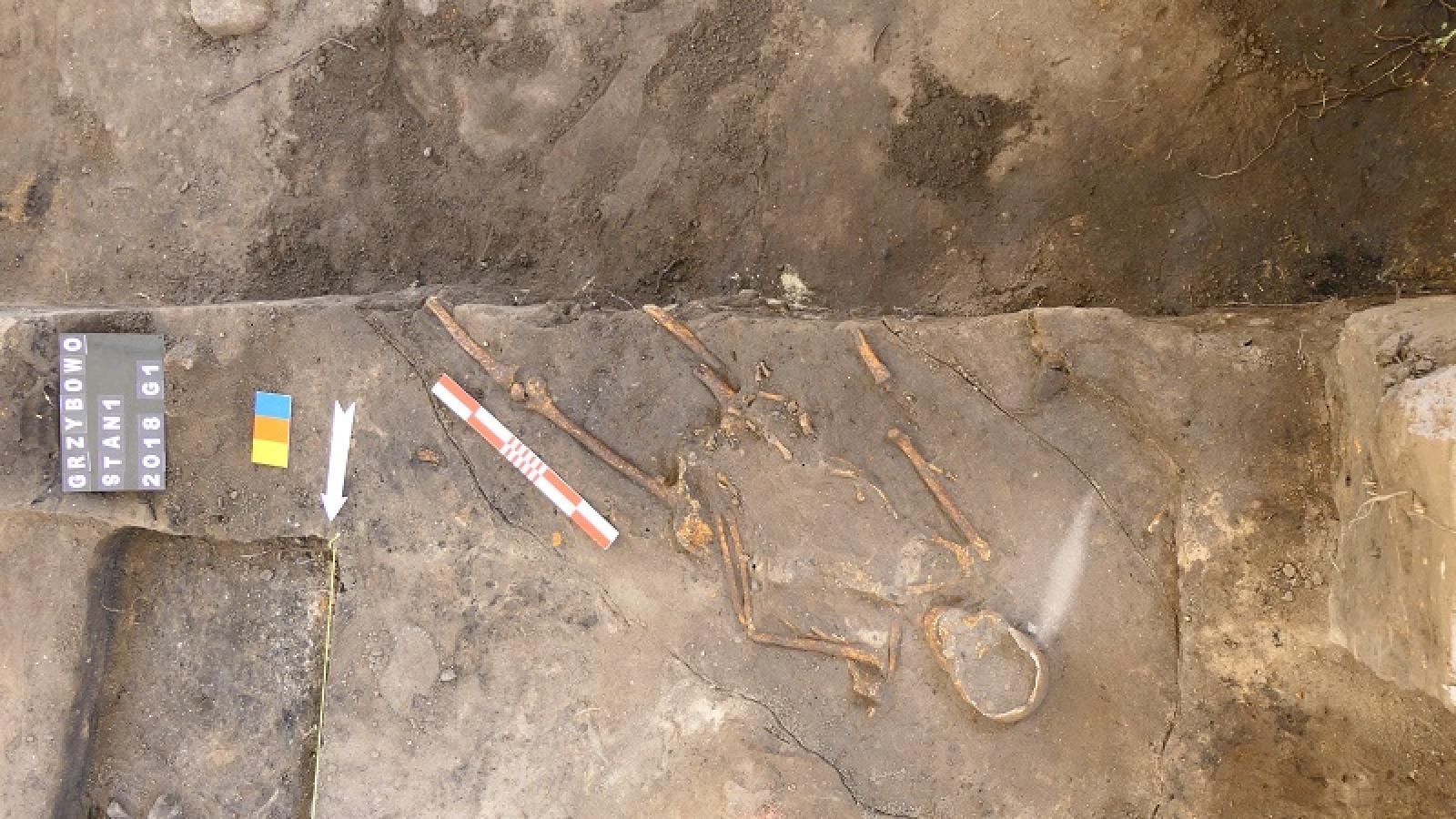 Odkrycie archeologów w Grzybowie