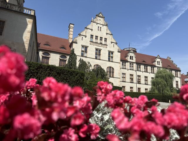 Collegium Minus i rosnące przed budynkiem kwiaty