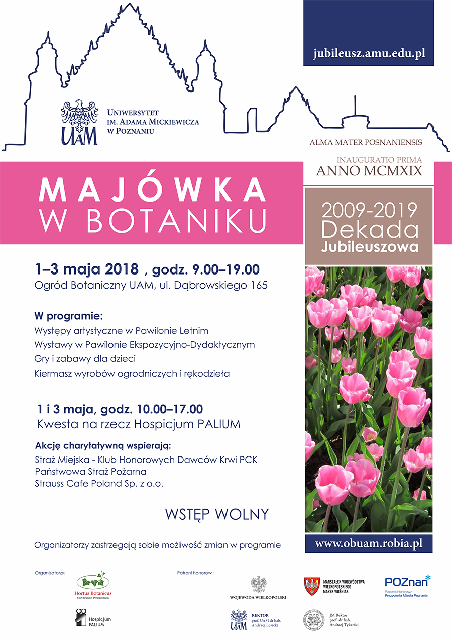 majówka - plakat