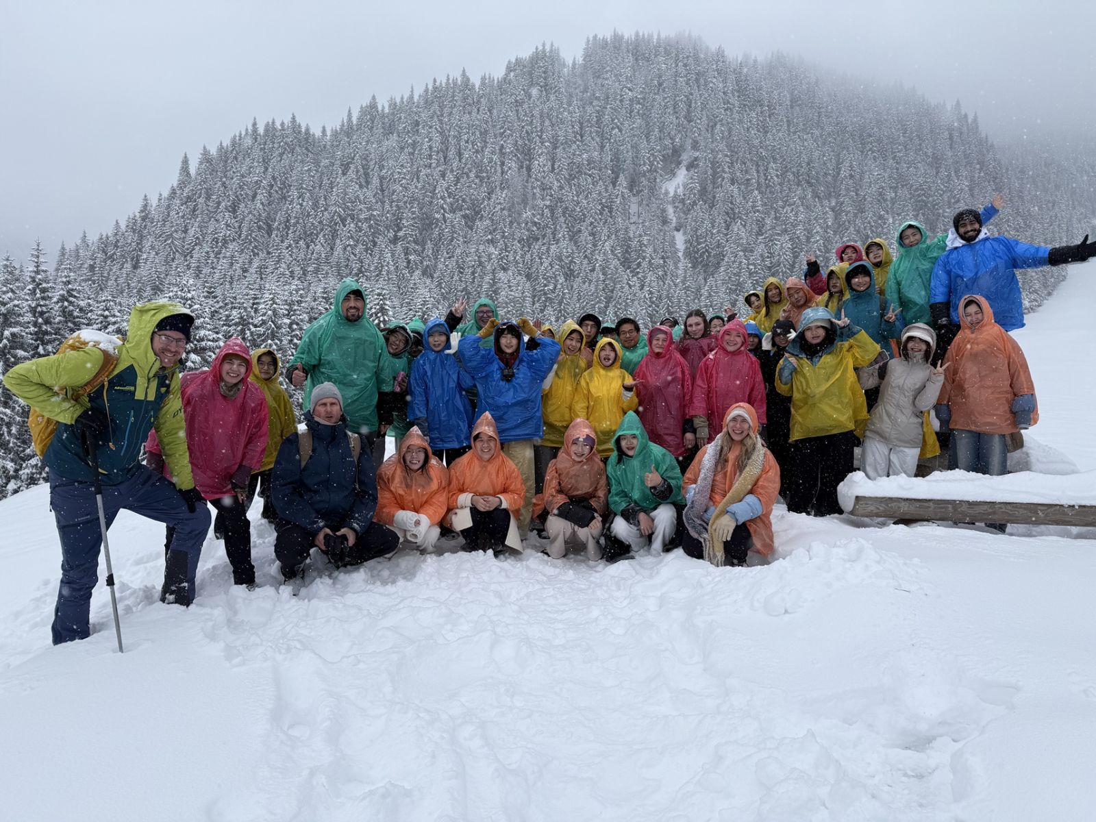 A photo from the snow-covered Tatra Mountains, taken during a crocus-viewing trip that turned into a winter getaway 
