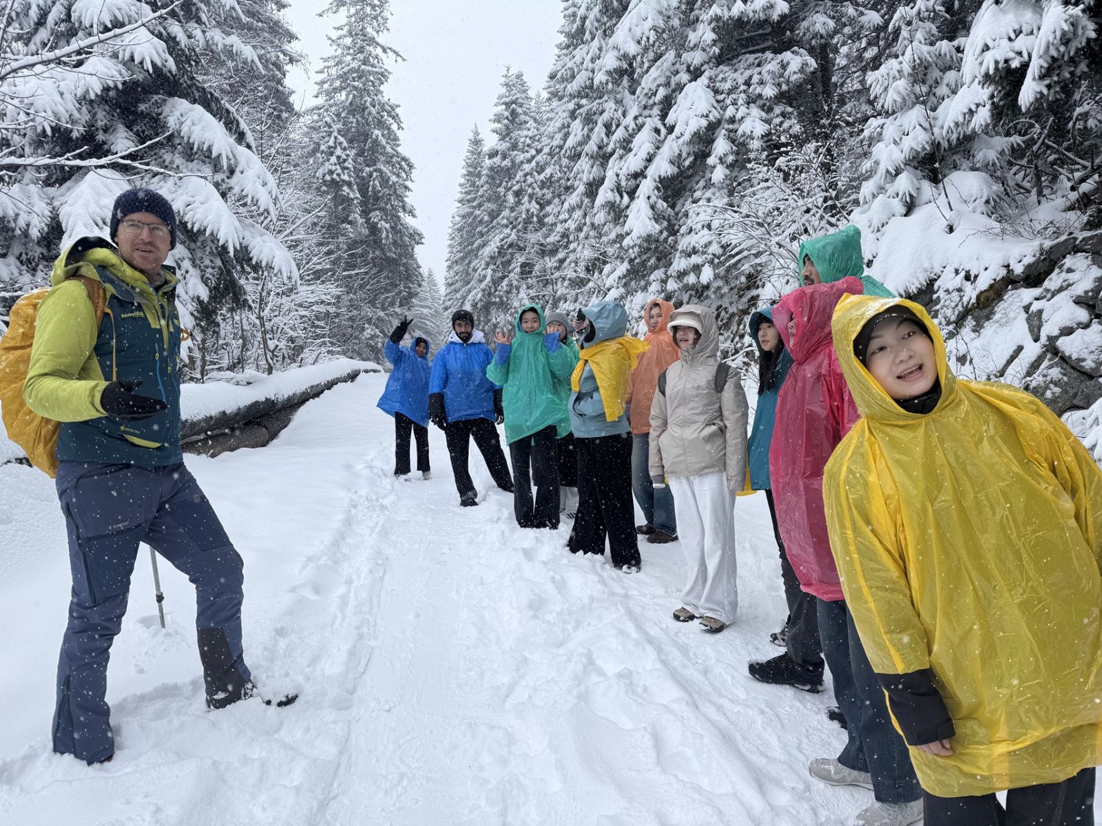 A photo from the snow-covered Tatra Mountains, taken during a crocus-viewing trip that turned into a winter getaway 