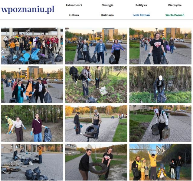 Print screen z artykułu