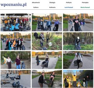 Print screen z artykułu