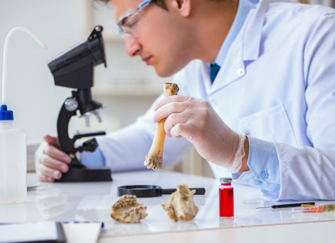 młody mężczyzna w laboratirum bada pod mikroskopem kości