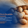Poster for Trip to the Potato Museum organized by Adam Mickiewicz University. The image shows a burlap sack spilling fresh potatoes onto a wooden surface. Text overlay reads: Trip to the Potato Museum – October 14, 2025, at 2:00 p.m., Pyra Museum (entrance from Mokra Street). A link encourages Registration via online form. The AMU crest appears in the top-right corner.