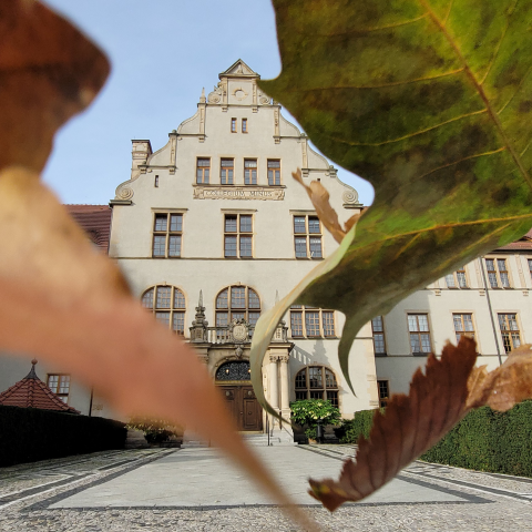 The picture deciphe AMU Collegium Minus front entrance surrounded by falling leaves