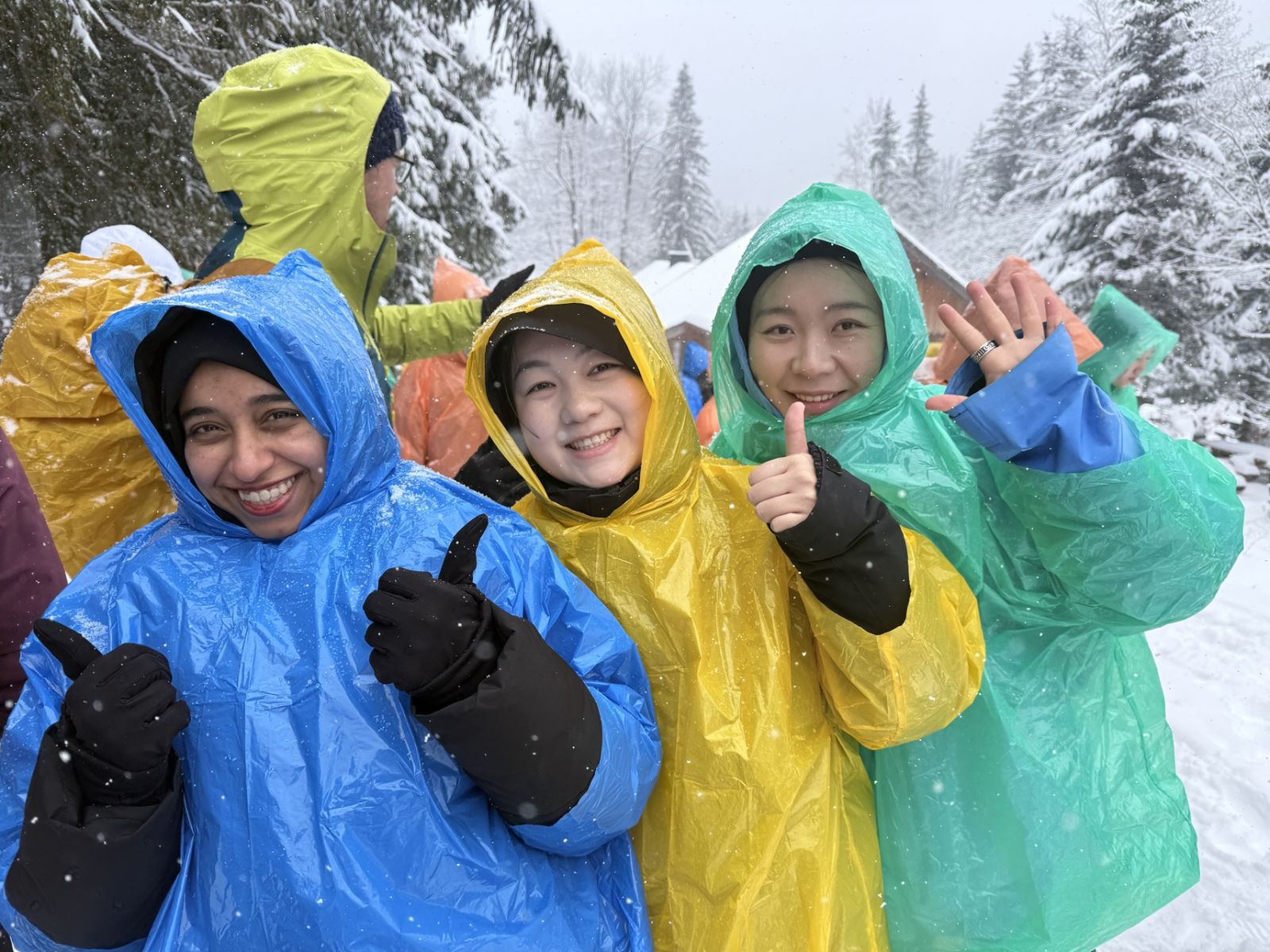 A photo from the snow-covered Tatra Mountains, taken during a crocus-viewing trip that turned into a winter getaway 