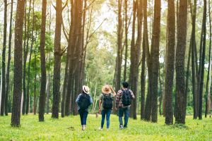 Miejski Przyrodnik: Rodzinny spacer przyrodniczy po Lesie Piątkowskim