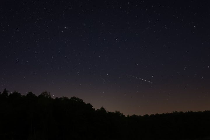 The photo presents the falling star on the night sky above the dark forest. 