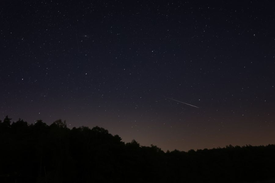 The photo presents the falling star on the night sky above the dark forest. 