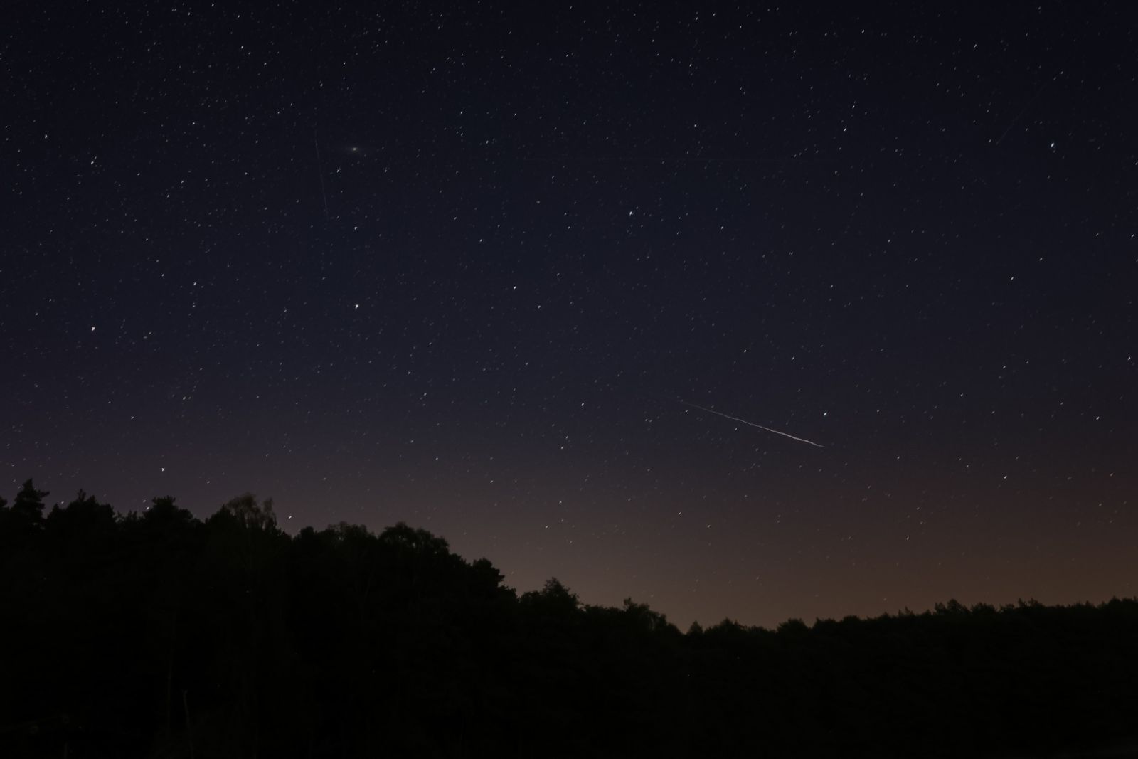 The photo presents the falling star on the night sky above the dark forest. 