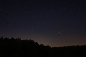 The photo presents the falling star on the night sky above the dark forest. 