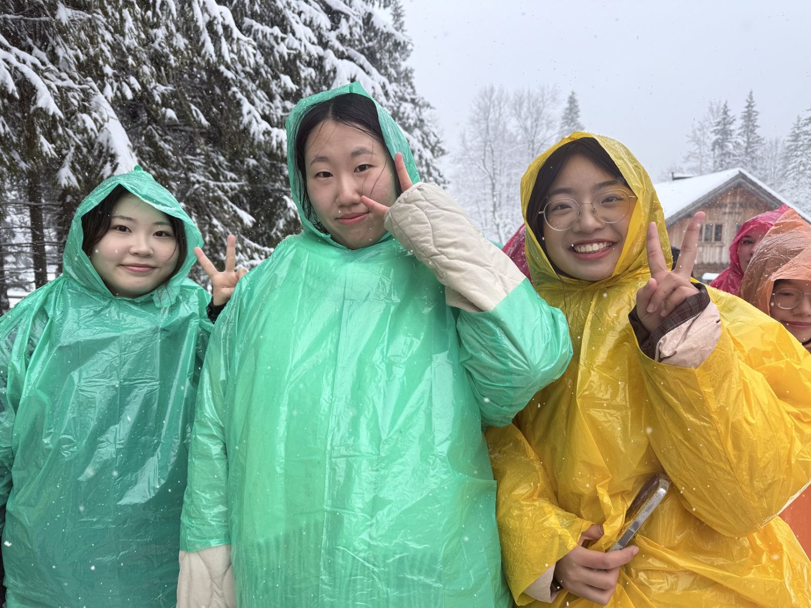 A photo from the snow-covered Tatra Mountains, taken during a crocus-viewing trip that turned into a winter getaway 