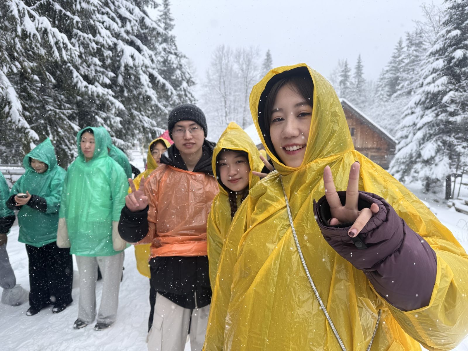 A photo from the snow-covered Tatra Mountains, taken during a crocus-viewing trip that turned into a winter getaway 