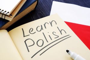 Codzienna komunikacja w języku polskim. Intensywne kursy dla dorosłych na poziomie podstawowym