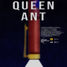 Poster for the film Queen Ant, featuring an image of a torch illuminating an ant. At the top are the names of the actors: Maja Wolska, Michał Kaleta and Dariusz Siastacz. In the centre is the film title Queen Ant.