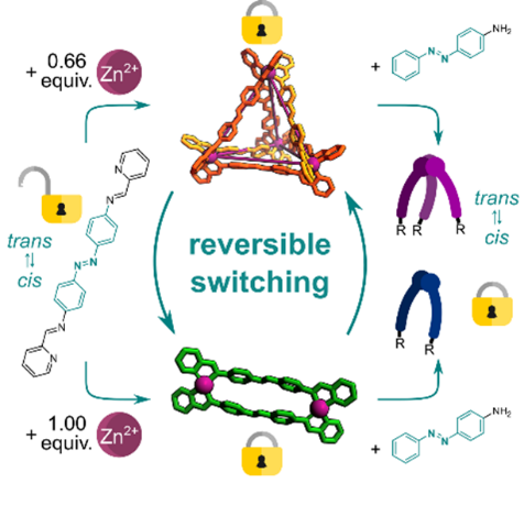 reversible switching mechanism