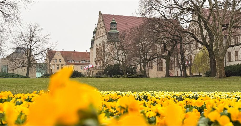 Zdjęcie budynku Collegium Minus. Na pierwszym planie żółte kwiaty w Parku Mickiewicza.