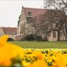 Zdjęcie budynku Collegium Minus. Na pierwszym planie żółte kwiaty w Parku Mickiewicza.