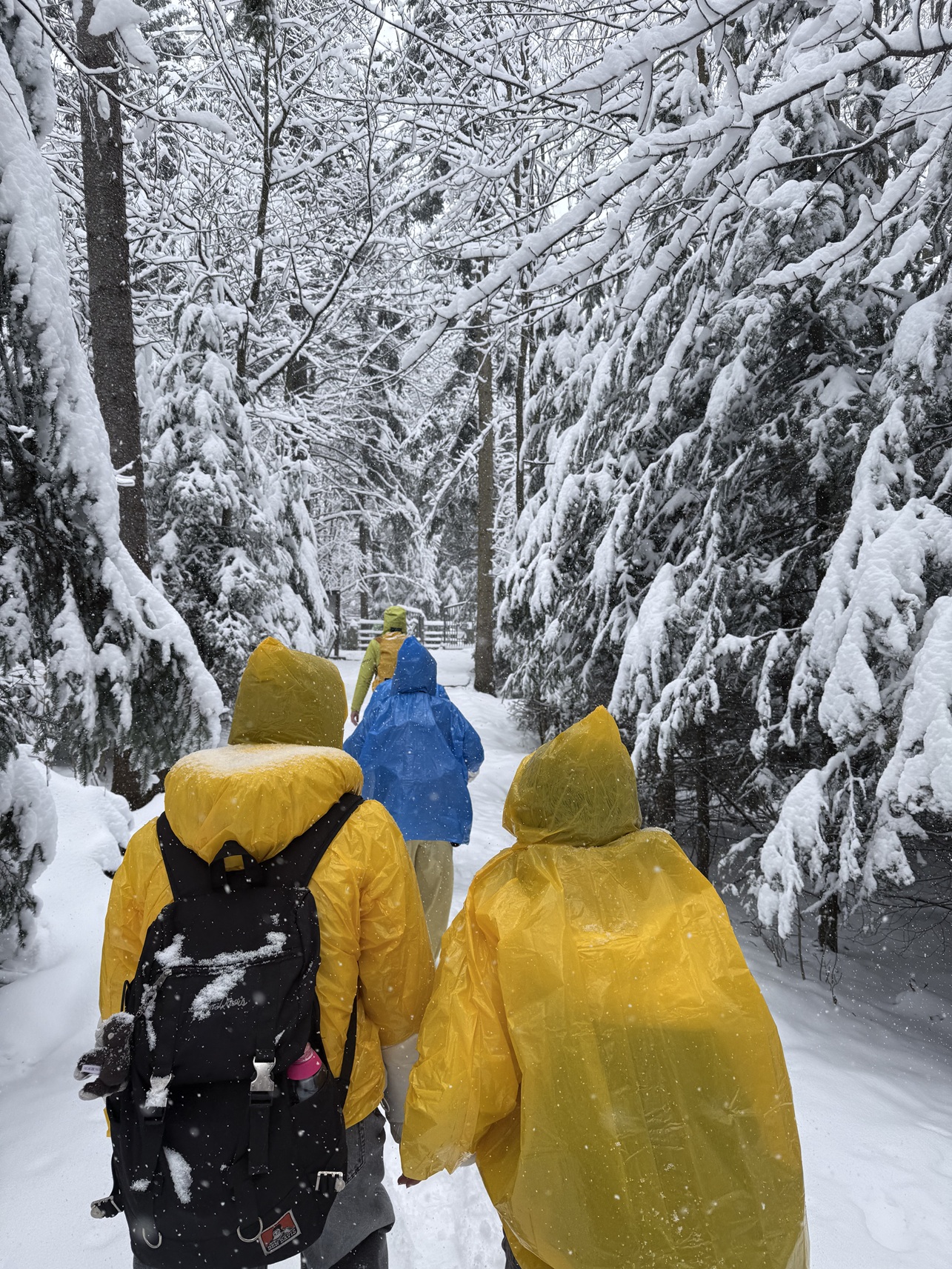 A photo from the snow-covered Tatra Mountains, taken during a crocus-viewing trip that turned into a winter getaway 