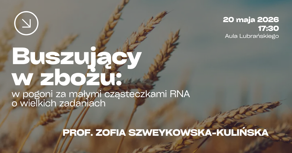 Grafika zapowiada wykład prof. Zofii Szweykowskiej-Kulińskiej „Buszujący w zbożu: w pogoni za małymi cząsteczkami RNA o wielkich zadaniach”, który odbędzie się 20 maja 2026 o godz. 17.30 w Auli Lubrańskiego; tłem są zbliżenia kłosów zboża.