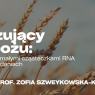 Grafika zapowiada wykład prof. Zofii Szweykowskiej-Kulińskiej „Buszujący w zbożu: w pogoni za małymi cząsteczkami RNA o wielkich zadaniach”, który odbędzie się 20 maja 2026 o godz. 17.30 w Auli Lubrańskiego; tłem są zbliżenia kłosów zboża.