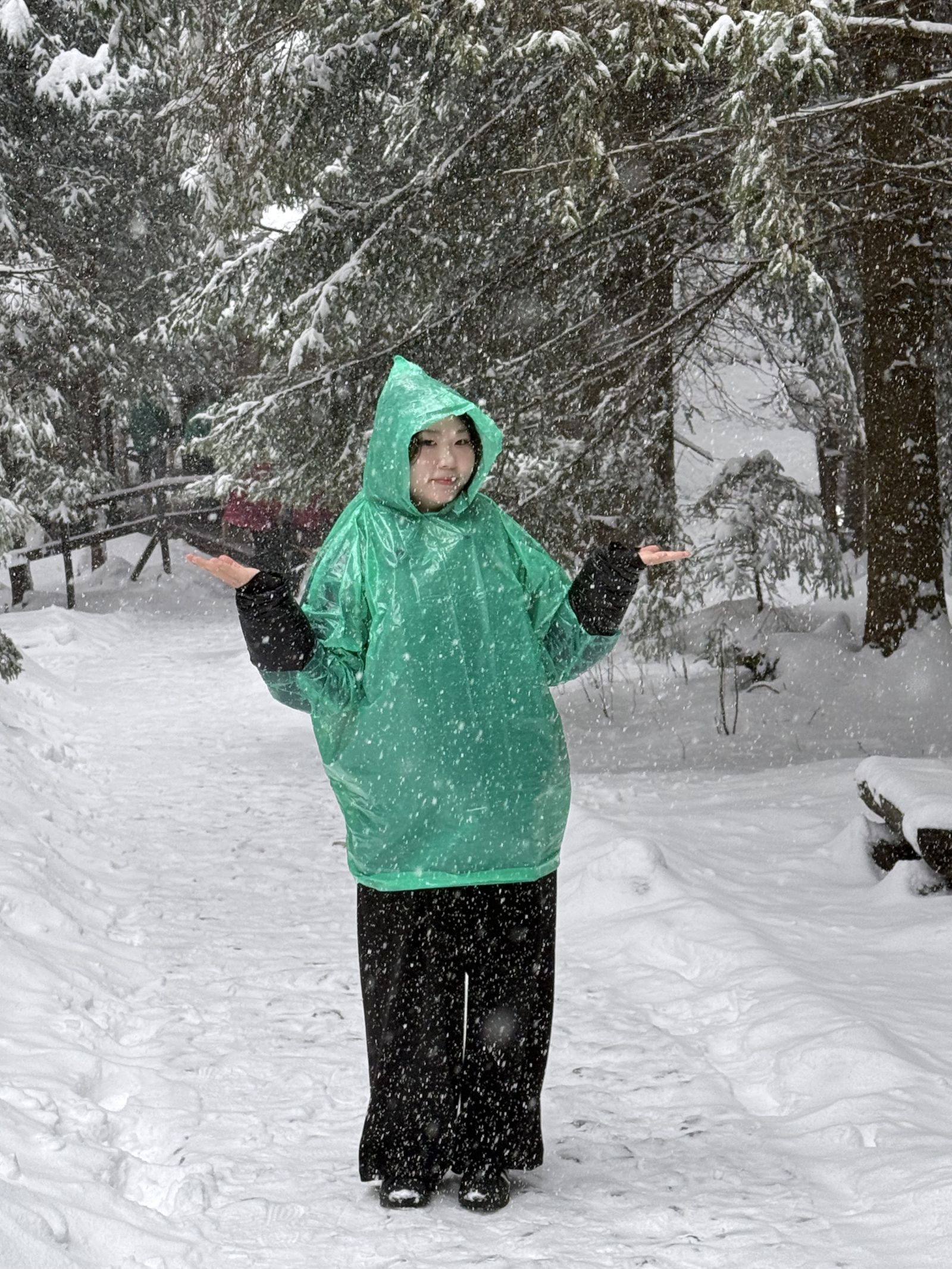 A photo from the snow-covered Tatra Mountains, taken during a crocus-viewing trip that turned into a winter getaway 