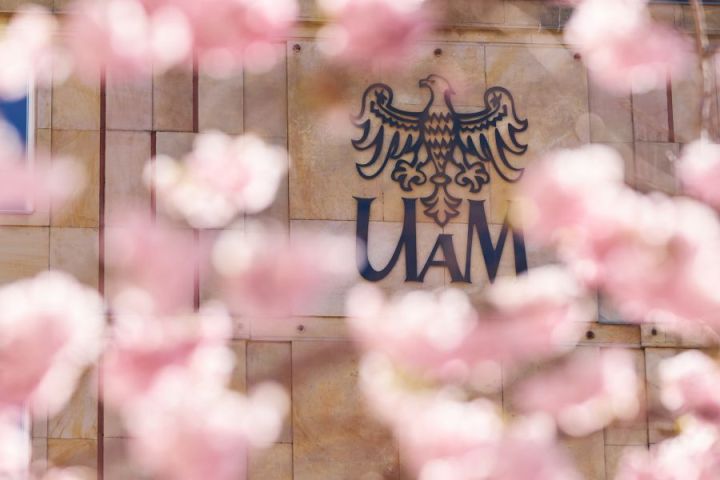 The AMU logo at Collegium Martineum in its spring version