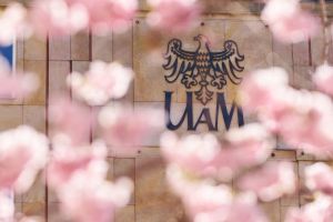 The AMU logo at Collegium Martineum in its spring version