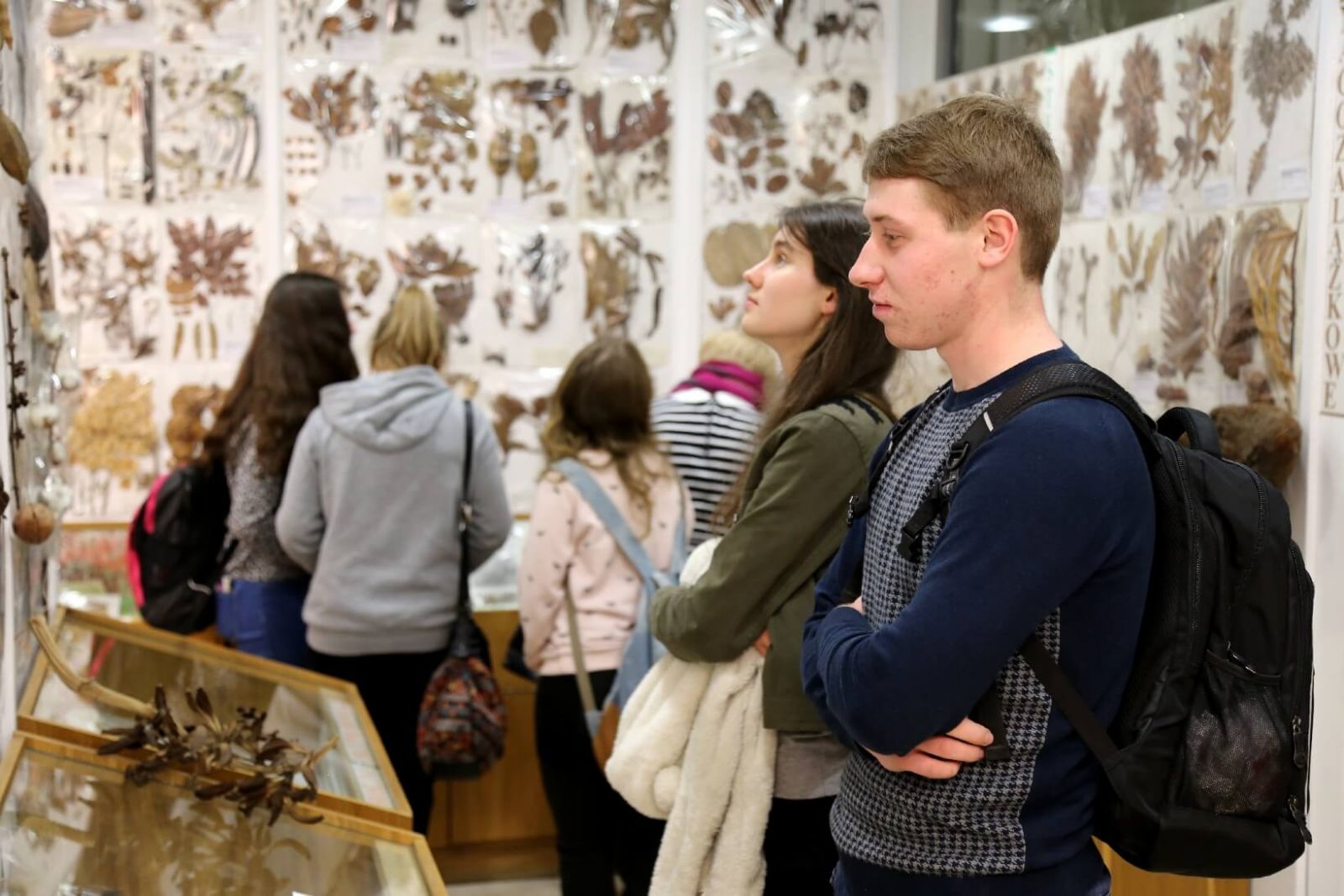 Wystawa roślin tropikalnych ze zbiorów zielnikowych Profesora Stanisława Lisowskiego
