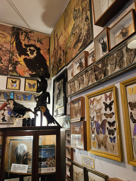 On the trail of the glacier - Erasmus+ students attending field workshops in the Great Poland National Park