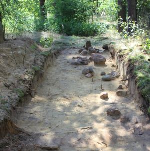 Jak żyli budowniczowie grobowców sprzed 5600 lat? Przełomowe odkrycie naukowców z UAM w Sobocie