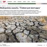 Print screen z artykułu