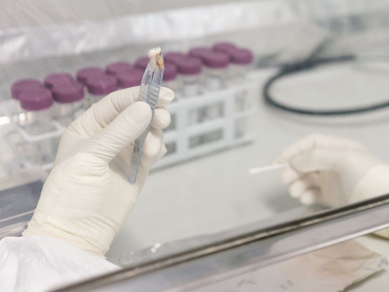   A hand wearing a glove holds a small sample with tweezers in a laboratory