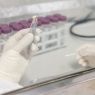   A hand wearing a glove holds a small sample with tweezers in a laboratory