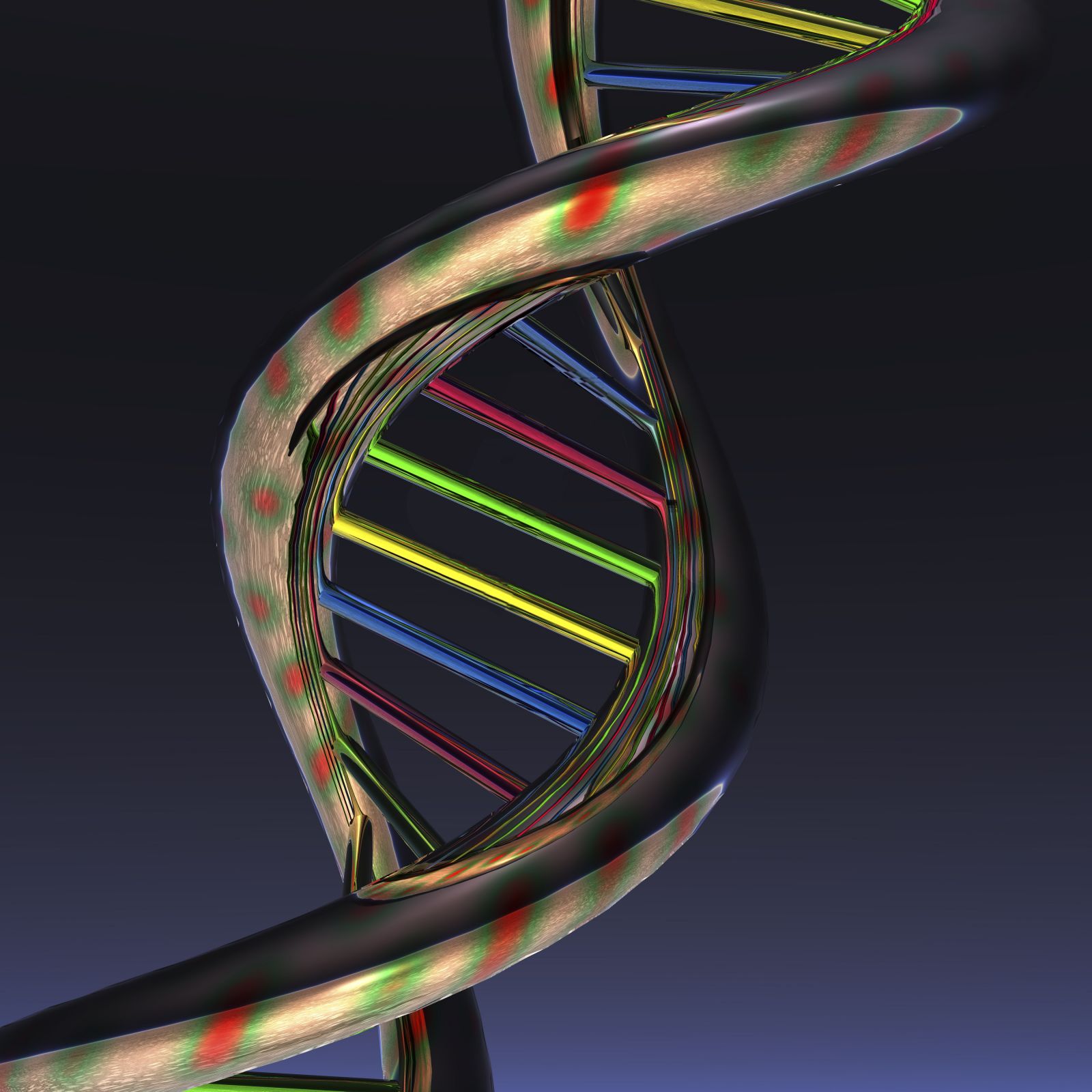 dna