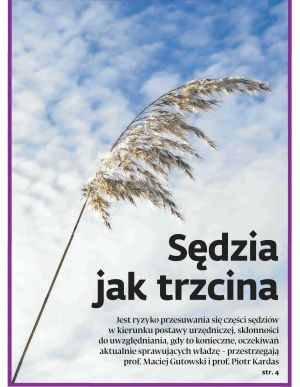 Sędzia jak trzcina - Dziennik Gazeta Prawna - Prawnik